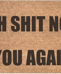 ChezMax Doormat Non-Slip Door Mat Waterproof Funny Rugs Indoor Outdoor Carpet Universal Welcome Mat Front Door Mud Absorbent for Floor Entrance Entryway