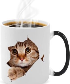 Caliamary Heat Changing Mug, Funny Cat Heat Changing Ceramic Coffee Mug, 11 oz Heat Sensitive Color Changing Coffee Mug Cup, Cute Xmas Gift Mug for Women Men Kids… (Cat)