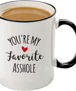 Mecai Gag Gifts For Men-You're My Favorite Mug-Funny Birthday Gift For Boyfriend Him Husband Brother Naughty Gift Ideas