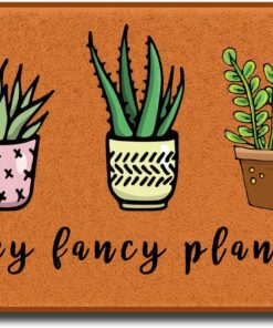Accssoey Funny Door Mat, Hey Fancy Plants Spring Entrance Way Non Slip Backing Funny Doormat Indoor Outdoor Rug 16" W x 24" L