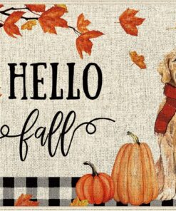 Dlzdn Hello Fall Dog Door Mat Fall Golden Retriever Pumpkin Decorative Doormat Seasonal Holiday Non-Slip Rubber Backed Entryway Rugs for Indoor Outdoor Entrance Floor 16 x 30 Inch