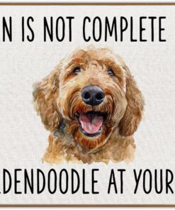 FIicy Golden Doodle Gifts Kitchen Mats for Floor, Goldendoodle Dog Owner Gifts Door Mat, Golden Doodle Dog Kitchens Rugs Doormat, Not Complete Without a Goldendoodle Entrance Decor Mats, 17x29 Inch