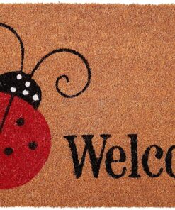 Calloway Mills 121432436 Ladybug Welcome Doormat 24" x 36", Multicolor