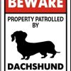 Metal Beware Property Patrolled by Dachshund Security Signs Aluminum Road Tin Signs for Outdoor Coffee Shop bar Club 8x12 Inches