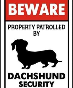 Metal Beware Property Patrolled by Dachshund Security Signs Aluminum Road Tin Signs for Outdoor Coffee Shop bar Club 8x12 Inches