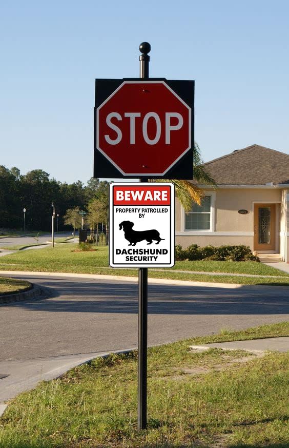 Metal Beware Property Patrolled by Dachshund Security Signs Aluminum Road Tin Signs for Outdoor Coffee Shop bar Club 8x12 Inches - Image 6